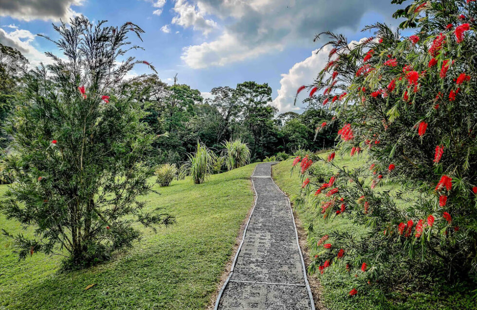 La Culebra Trail Arenal Observatory Lodge Trails